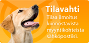 Tilavahti
